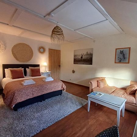 Les Gabelous - Chambre D'Hotes - Viroinval Dourbes Exteriér fotografie